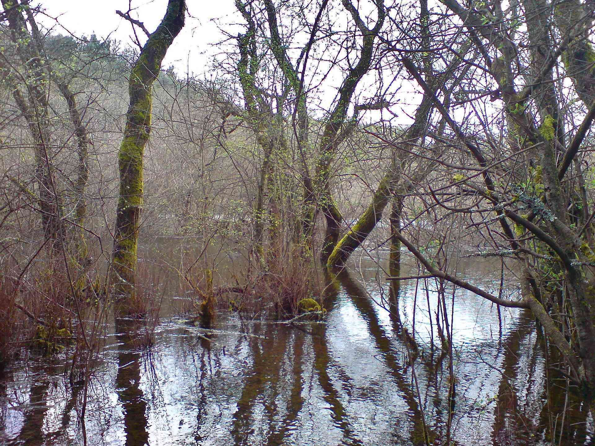 Makri Pond